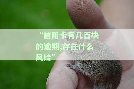 信用卡400元逾期是否会上征信？了解其可能的后果与风险