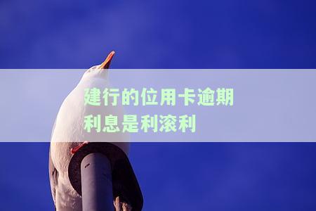 建行透支卡逾期利息，警惕！建行透支卡逾期，利息负担重