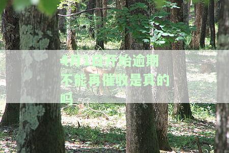4月1日开始逾期不能再催收？原因解析