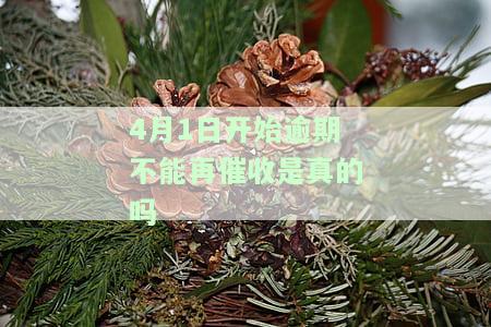 逾期的每个催收阶，深入了解逾期催收：每个阶的关键策略与技巧