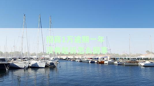 招商1万逾期一年未被起诉，真实原因何在？