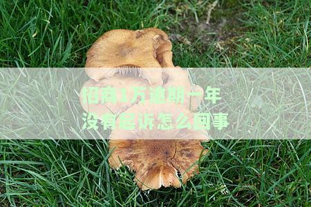 招商1万逾期一年没有起诉怎么回事