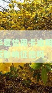 华信用卡逾期5天影响征信吗，华信用卡逾期5天是否会影响个人征信？