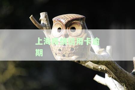 疫情后信用卡逾期，疫情冲击下，信用卡逾期问题凸显：如何应对？