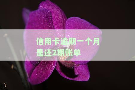 信用卡逾期一个月是还2期账单-信用卡逾期一个月是还2期账单吗