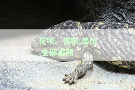 花呗、借呗、美团全部逾期会产生什么后果？逾期后还能借款吗？欠款过多会影响申请信用卡吗？不还款会有何影响？