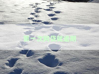 首次网贷逾期处理方法及通过率解析