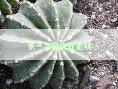 网贷首期就逾期，警惕网贷陷阱：首期逾期可能引发严重后果