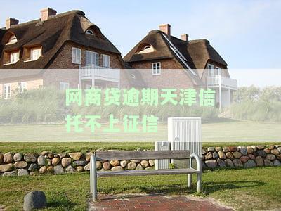 网商贷逾期天津信托不上征信怎么办，如何处理网商贷逾期未还，天津信托未上征信的问题？