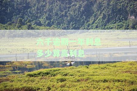 六千逾期两年应还款及后果分析