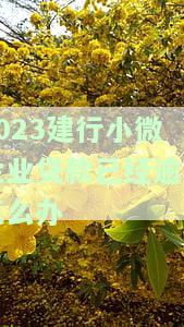 2023建行小微企业贷款已经逾期怎么办理，2023年建行小微企业贷款逾期处理指南