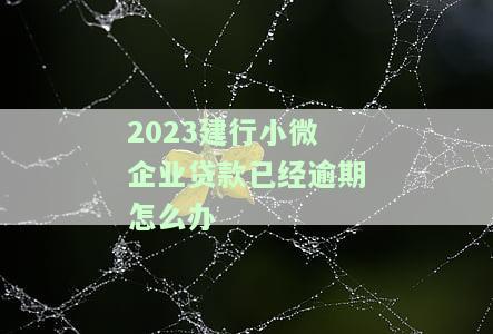 建行小微企业贷款到期后还能贷出来吗，小微企业的福音：建行贷款到期后能否再次申请？