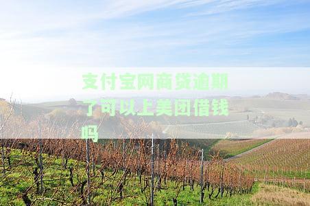 支付宝网商贷逾期还完能否再借款？影响因素是什么？