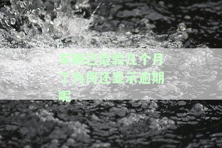 车辆已检验几个月了仍显示逾期，该如何解决？