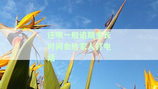 还呗一般逾期多长时间会给家人打电话