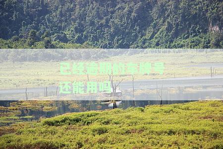 逾期的车牌号码是能直接选吗，逾期车牌能否直接选择？探讨相关政策与规定