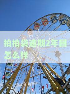 拍拍贷逾期了怎么办妹子给你讲述催收期间的真实经历，亲身经历：拍拍贷逾期后的催收过程与应对策略