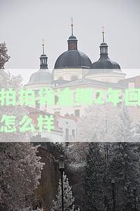 拍拍袋逾期2年回怎么样-拍拍贷逾期2年多了会影响以后贷款吗