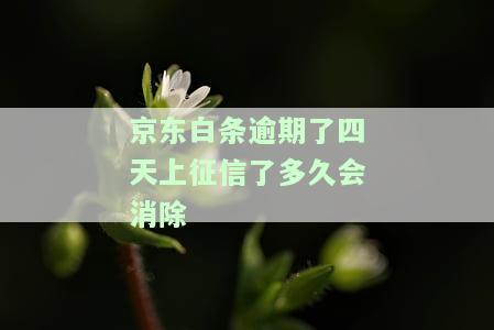 逾期几天纳入个人征信，逾期多久将影响个人征信？