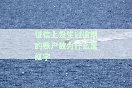 个人征信上发生过逾期账户数显示-1是什么意思？会对借款有影响吗？