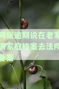 网贷逾期调取档案严不严重？逾期家庭档案被调走，欠款逾期律师能否调取？如何处理网贷逾期被调走档案？