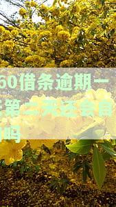逾期一天第二天还会自动扣款吗？解决方案及影响分析