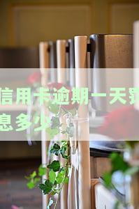 信用卡逾期一天罚息多少合适，了解信用卡逾期一天的罚息标准