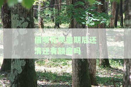 花呗借呗逾期后恢复额度时间：还清多久可再次使用？