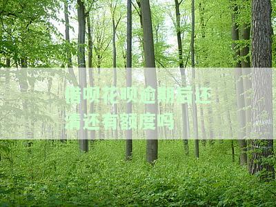借呗花呗逾期后还清还有额度吗-借呗花呗逾期后还清还有额度吗怎么办