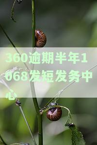 360逾期后向身边的人发信息该怎么投诉，如何有效地投诉360逾期后的不当行为：向身边人发送信息的正确方式