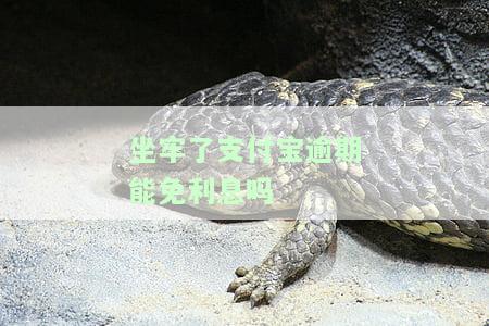 支付宝逾期坐牢出来还需偿还利息吗？因服刑导致的逾期问题