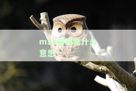 m12逾期是什么意思