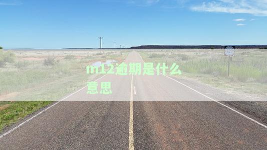 m12逾期是什么意思