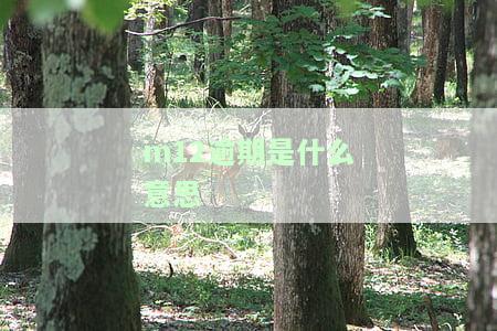 m12逾期是什么意思