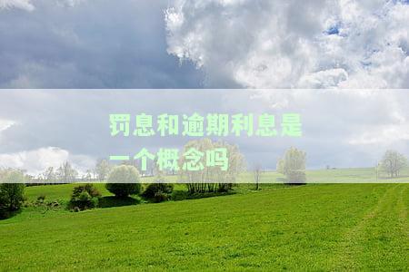逾期罚息：是当期还是全部？5000元逾期一天的罚息是多少？是否需要归还？是否按本金计算？何时开始计算？