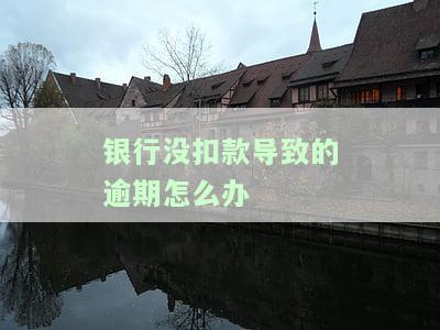 如果是银行扣款没扣到导致逾期怎么办，如何处理因银行扣款未成功而导致的逾期问题？
