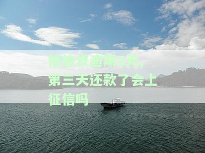 拍拍贷逾期2天,第三天还款了会上征信吗，关于拍拍贷逾期问题：逾期两天，第三天还款是否会影响个人征信记录？