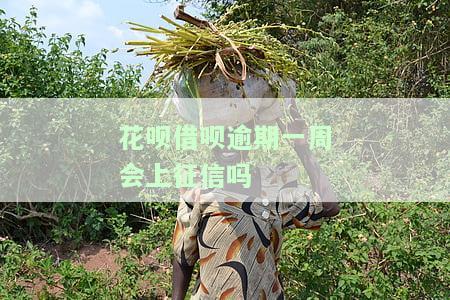 花呗借呗逾期1天会如何影响征信？
