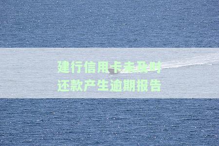 建行信用卡未及时还款产生逾期报告怎么写，如何处理建行信用卡逾期报告？