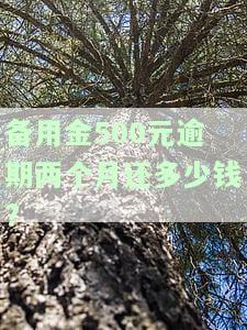 500备用金逾期2天罚多少？逾期1天利息、是否上征信及后果全解析