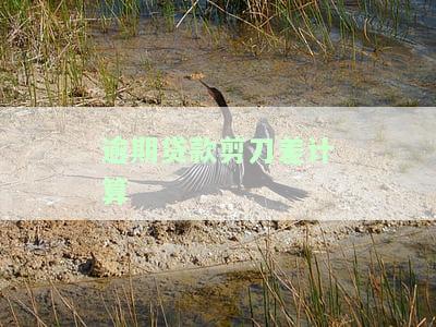 逾期贷款剪刀差公式，掌握逾期贷款剪刀差公式，有效降低信贷风险