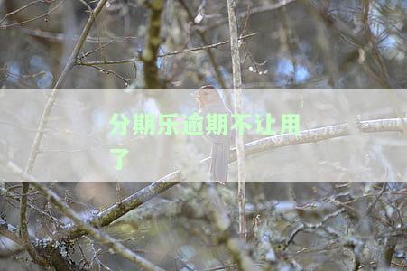 分期乐逾期不能使用？多久可以恢复？逾期后如何解除限制，还能否再次借款？