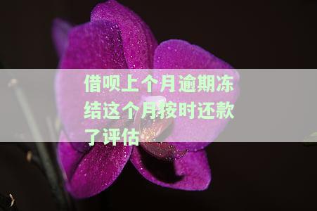 借呗还款逾期3个月后还款，会被冻结吗？影响征信及能否再次借款解析