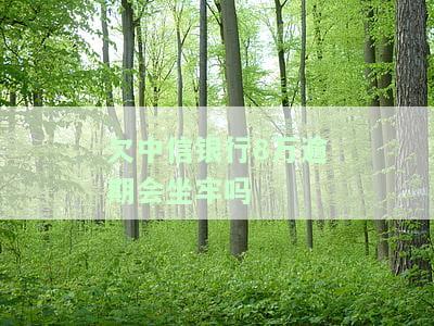 欠中信银行信用卡8万会坐牢吗？可以分期还款吗？