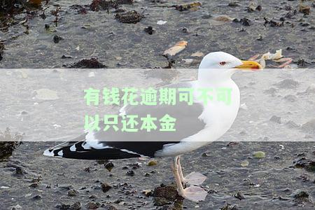 有钱花逾期可不可以只还本金-有钱花逾期可不可以只还本金不还本息