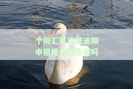 个税汇算清缴不按时办理的后果：可能面临罚款、滞纳金等处罚。