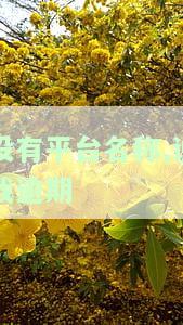 我在没借过的平台被说逾期，该怎么办？