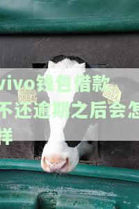 Vivo钱包贷款不还会影响征信吗？还款逾期后果严重！