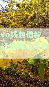 vivo钱包借款不还逾期之后会怎样-vivo钱包借款不还逾期之后会怎样处理