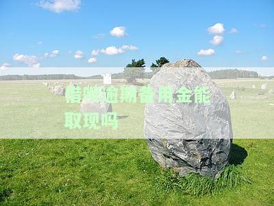 支付宝借呗备用金逾期会影响以后的使用吗，逾期还款会否影响支付宝借呗和备用金的未来使用？